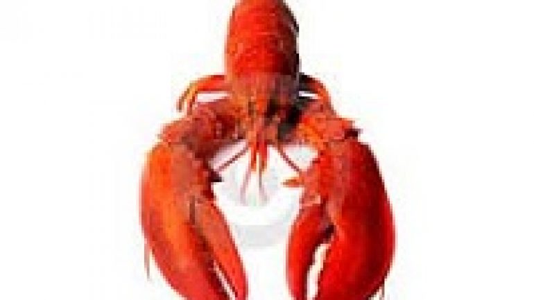 Rüyada Istakoz Görmek