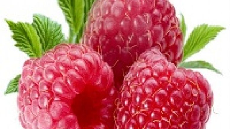 Rüyada Ahududu Görmek Ne Anlama Gelir, Neye İşarettir?